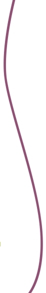 layoutlinie